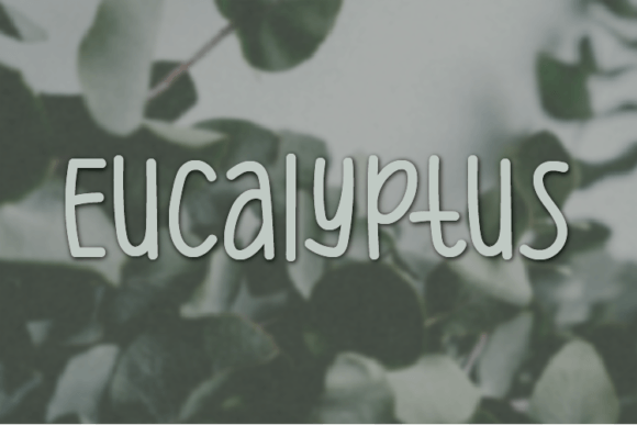 Eucalyptus: A Natural Handwritten Font for Modern Web Design
