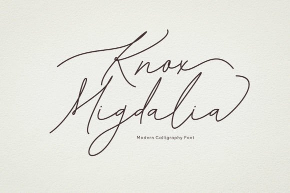 Knox Migdalia: A Stylish Script Font for Modern Marketing Visuals
