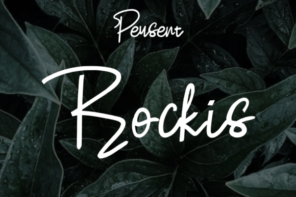 Rockis: A Modern Script Typeface for Elegant Brand Identities